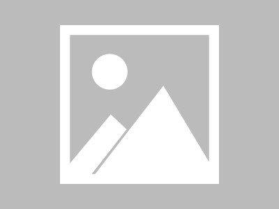构建数字化转型的动态商务架构，打造企业高效可持续发展的未来